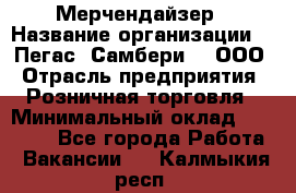 Мерчендайзер › Название организации ­ "Пегас" Самбери-3, ООО › Отрасль предприятия ­ Розничная торговля › Минимальный оклад ­ 23 500 - Все города Работа » Вакансии   . Калмыкия респ.